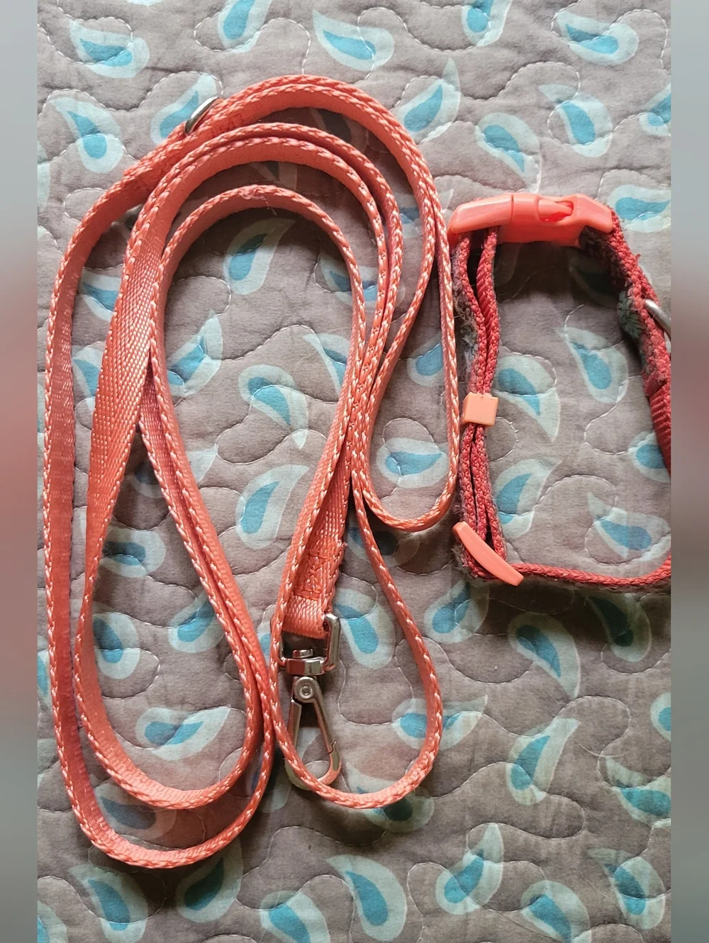 8 Piece Bundle 🐶 Puppy • Small Dog / Cat Fits + Leash & Collar 😺